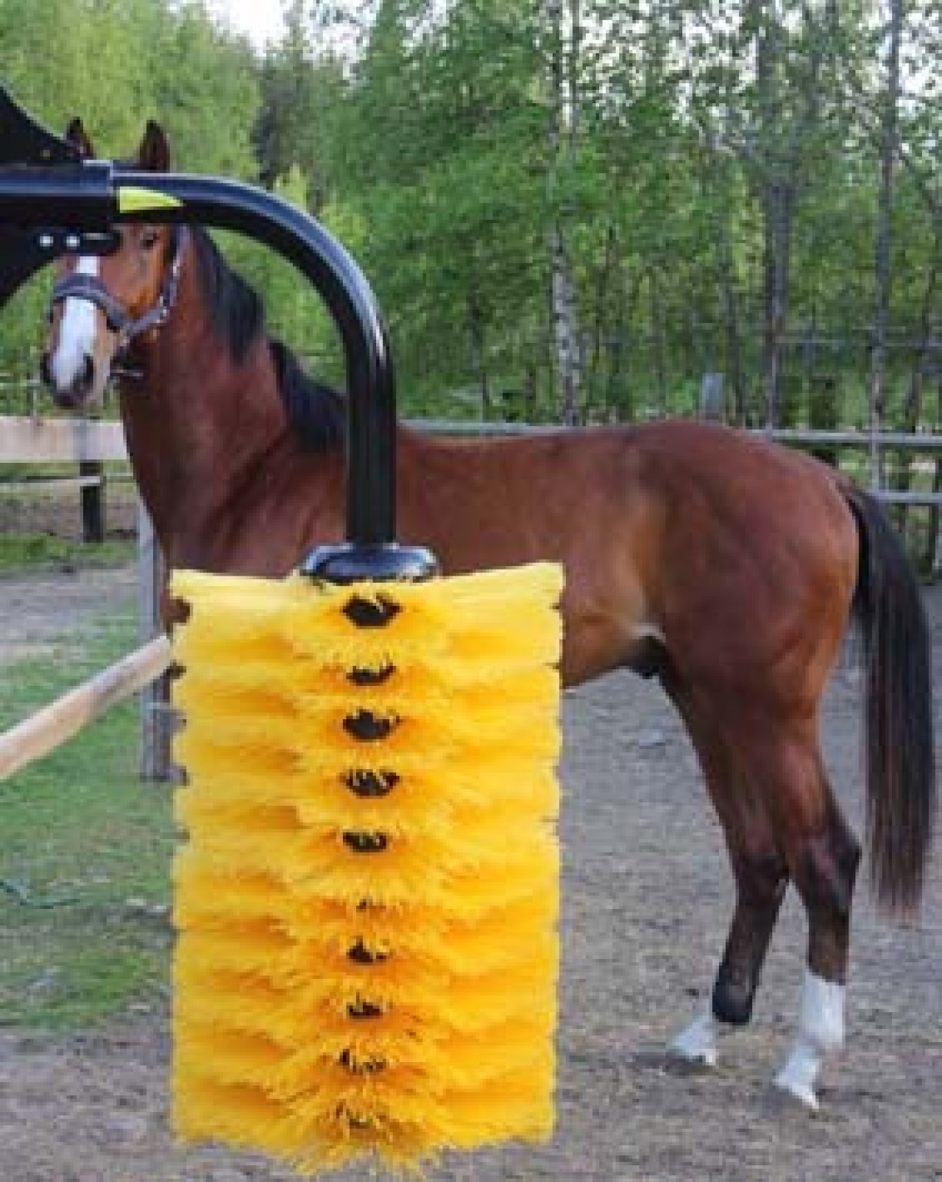 EasySwing MAXI cattle brushe Latter